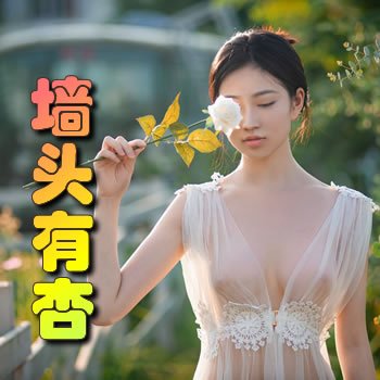 墙头有杏(地狱之门)