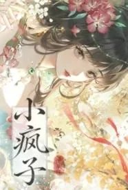 小疯子(1v1古言h)